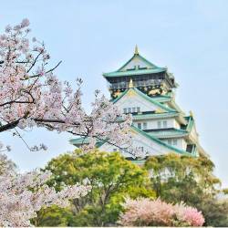 Osaka — surprise destination FlyKube