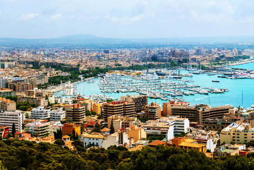 Palma